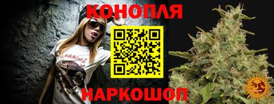 стафф Краснодар