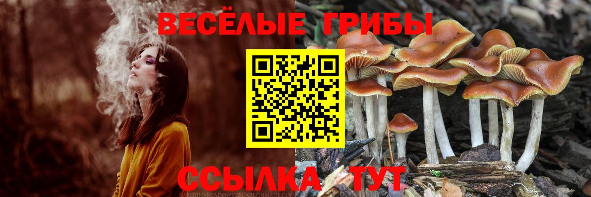 Псилоцибиновые грибы Magic Shrooms  Вход с VPN  Галлюциногенные грибы Psilocybine cubensis  купить  сайты  Железногорск 